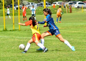 Welke sportclubs bieden gratis proeflessen?