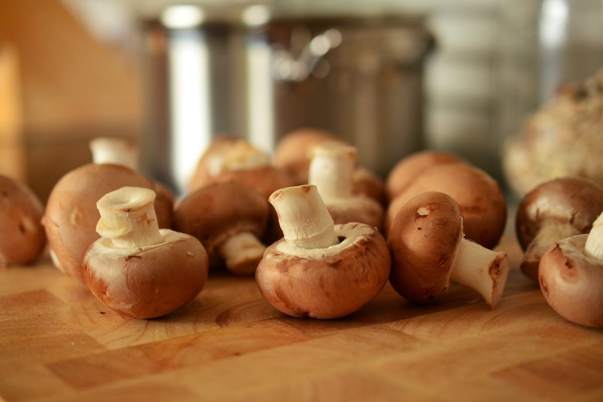 Wat is de beste plek om paddestoelen te zoeken in Nederland