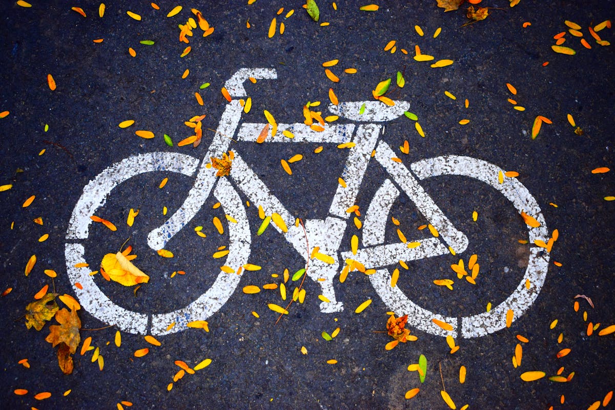 Wat zijn de regels voor het vervoeren van kinderen op de fiets